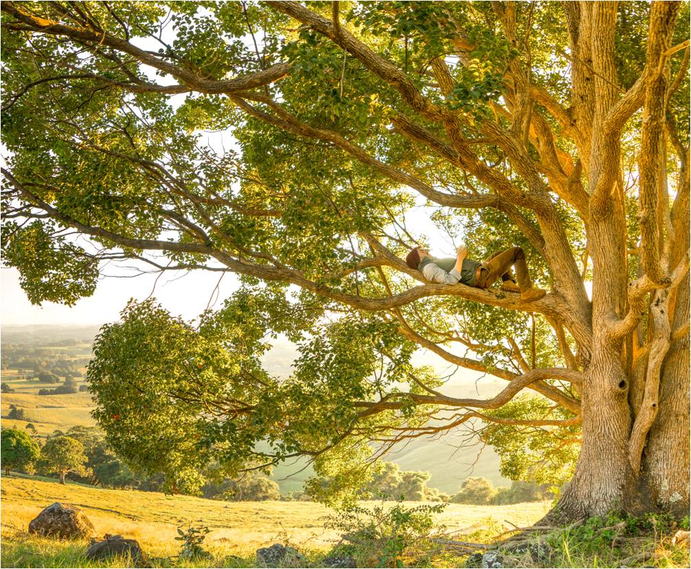 24/7 toegang Katholieke Vesting Academy